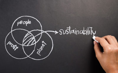 Sustainability in Executive Compensation